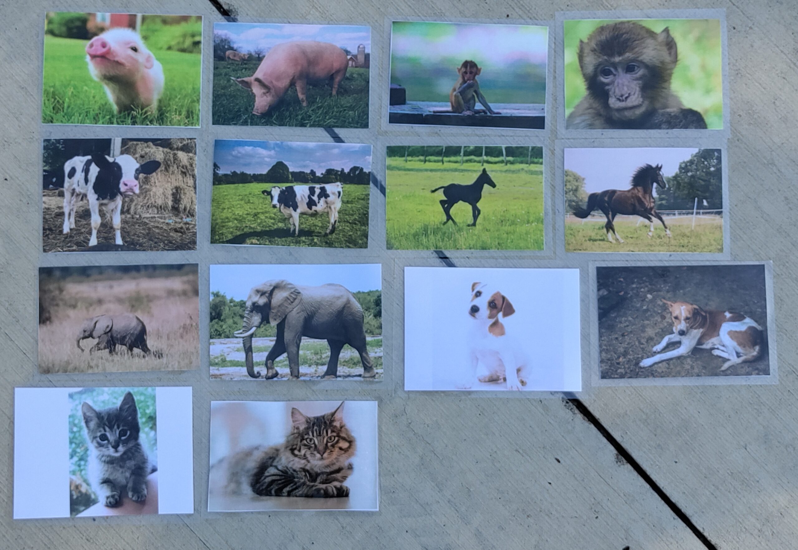 Little vs Big Stimuli Cards